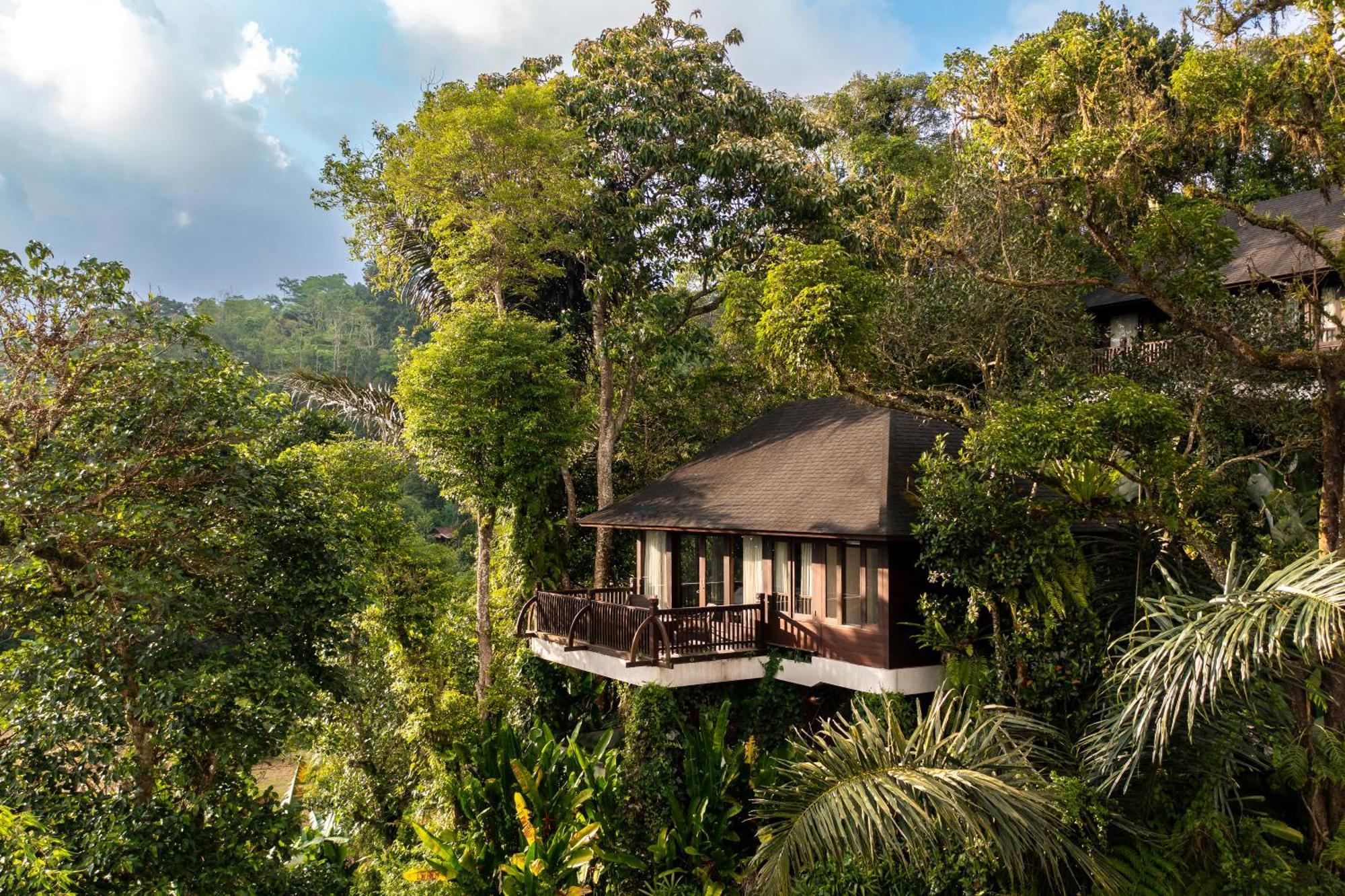 Hotel Homm Saranam Baturiti Bedugul  Exterior foto